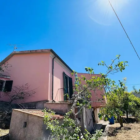 Viticcio Aurora E Fiorita - Goelba * פורטופראיו