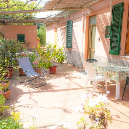 Viticcio Aurora E Fiorita - Goelba Портоферрайо