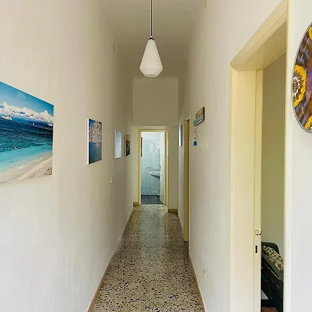 Viticcio Aurora E Fiorita - Goelba