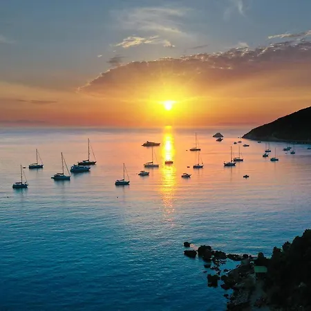 Viticcio Aurora E Fiorita - Goelba