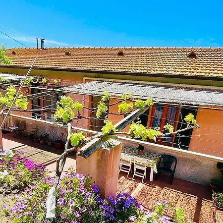 Viticcio Aurora E Fiorita - Goelba Apartmán Portoferraio